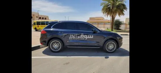 العين - 12