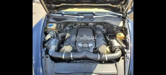 العين - 17