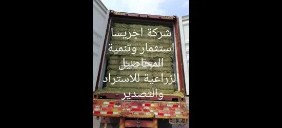 الوادى الجديد الدخلة