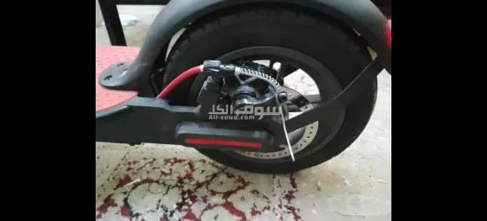 Scooter - 5