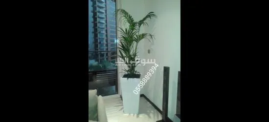 Office indoor natural plants and pots