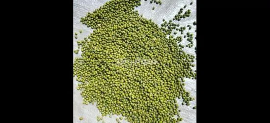 7mm to 8mm Green Cardamom Available.