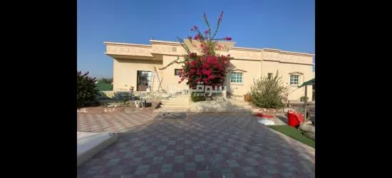 راس الخيمه - 9