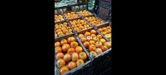 بيع الخضروات والفواكه - 3
