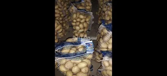 المحاصيل الصيفية - 7