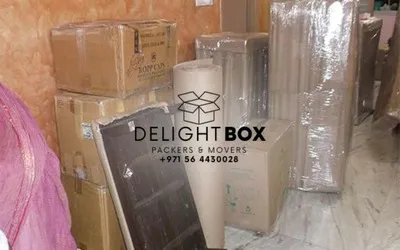 Delight Box Packers Movers Shifting Services UAE - 5