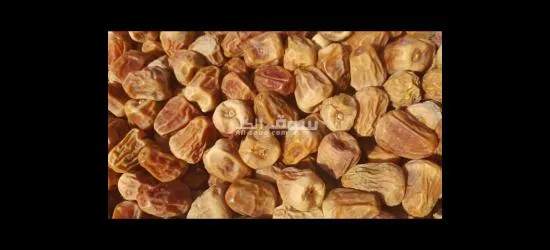 أجود أنواع التمور - 2