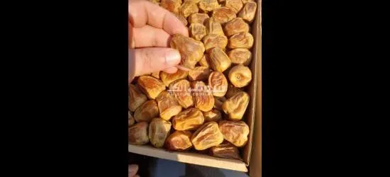 أجود أنواع التمور - 3