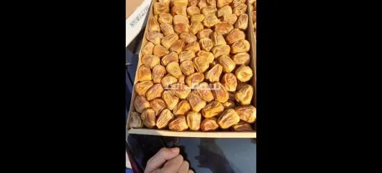 أجود أنواع التمور - 4
