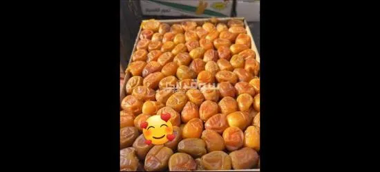 أجود أنواع التمور - 13
