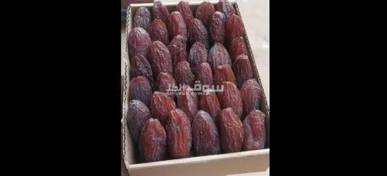 أجود أنواع التمور - 15