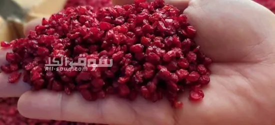 برباريس إيراني درجة أولى - 3