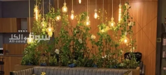 مركز تجميل كبير جدا - 3