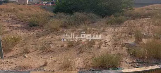 ارض للبيع - 6