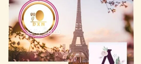 آني أمنة الهمامي مستثمر عالمي بمشروع تجاري اكتروني ابحث عن شركاء مجاني