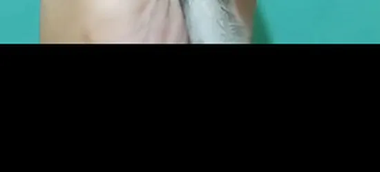 شوقر قلايدر السنجاب الطائر