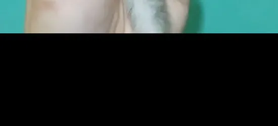 شوقر قلايدر السنجاب الطائر - 2