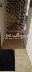 استديو للايجار الشهري الراشدية عجمان - 6