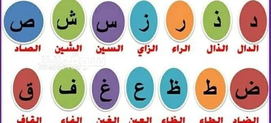 معلمه تاسيس وتاهيل الطلاب والطالبات - 2