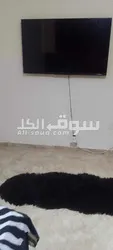 استديو للايجار الشهري الراشدية عجمان - 14
