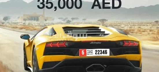 لوحات مميزة