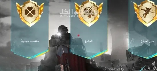 حساب ببجي قوي فيه امفور مومياء مطورة ضرر - 13