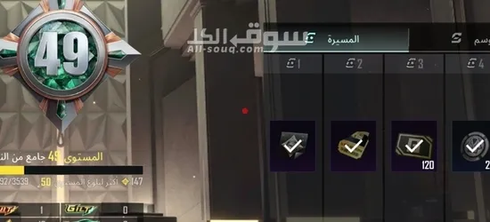 حساب ببجي قوي فيه امفور مومياء مطورة ضرر - 14