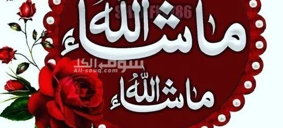 باحث عن عمل – ناطور أو حارس أمن