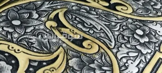 شنطة نسائية فاخرة