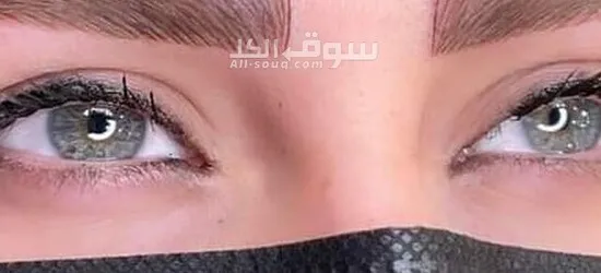 مايكروبليدج