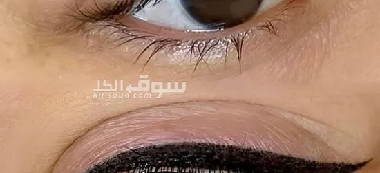 مايكروبليدج - 3