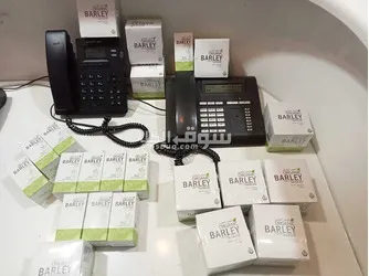 Barley juice and capsule - 2