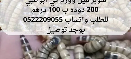 متوفر دوده سوبر ميل وورم في ابوظبي