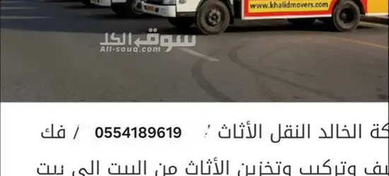 professional movers packers service