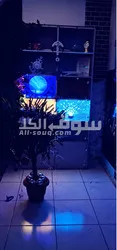 دبي. هور العنز .بناية المجالس مكتب 06 طابق m - 9