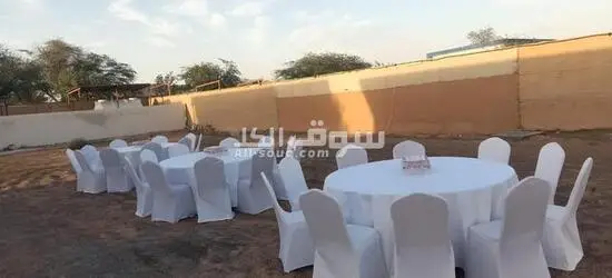 Premium Chair & Table Rental Services | UAE 🇦🇪 - 4