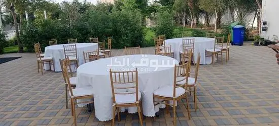 Premium Chair & Table Rental Services | UAE 🇦🇪 - 5