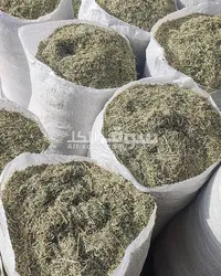 استيراد و تصدير