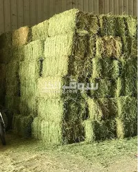 استيراد و تصدير - 2