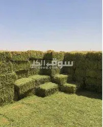 استيراد و تصدير - 3