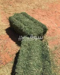 استيراد و تصدير - 5