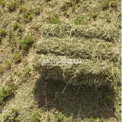 استيراد و تصدير - 6