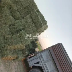 استيراد و تصدير - 7