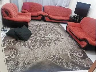 القاسميه المحطه - 5